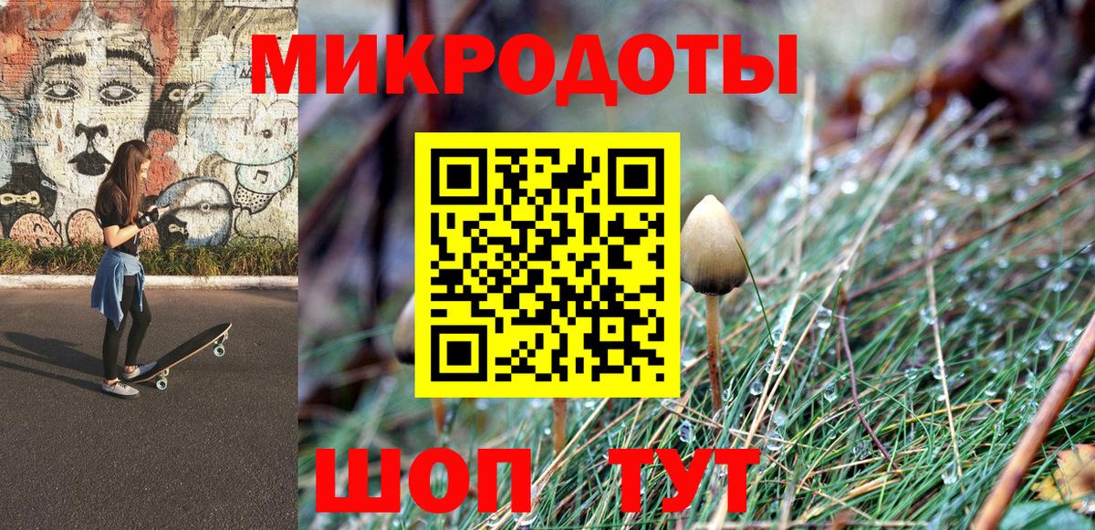 Псилоцибиновые грибы Psilocybine cubensis Россия