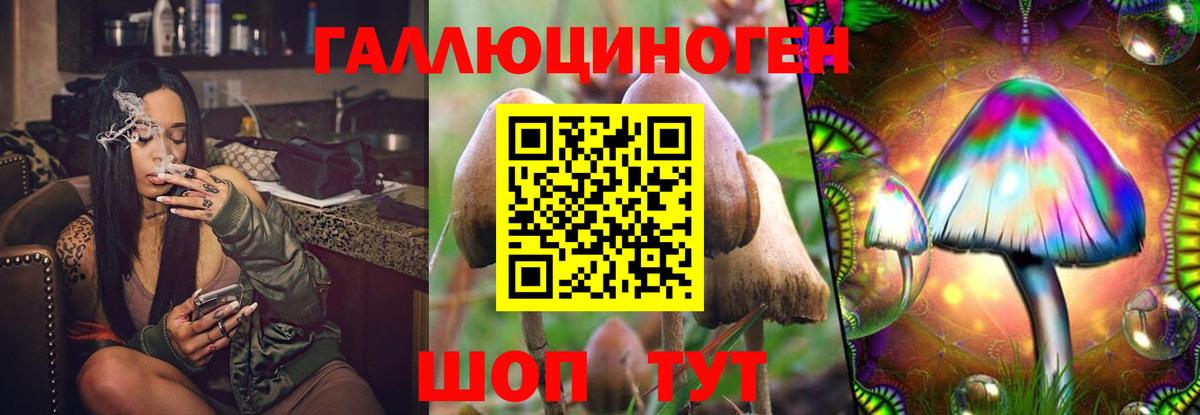 МЕФ Россия
